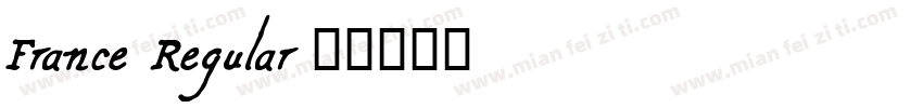 France Regular字体转换